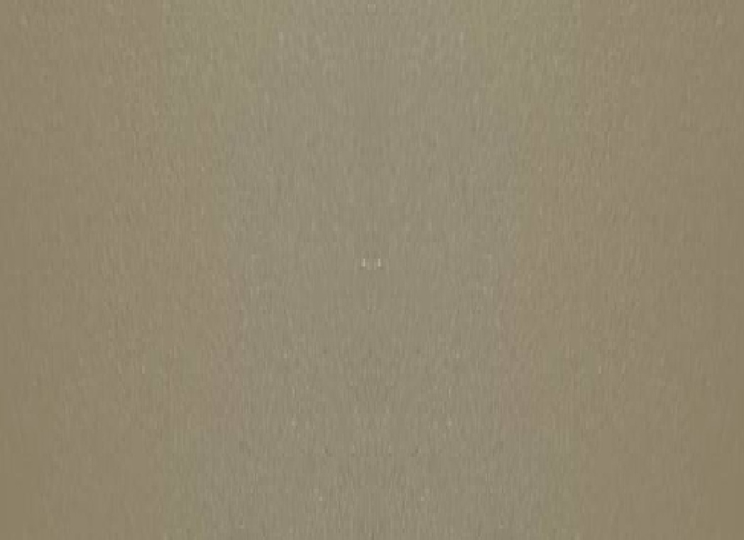 Фарба поліефірна порошкова бежева СПЕЦКОЛОР RAL 1014 25 кг